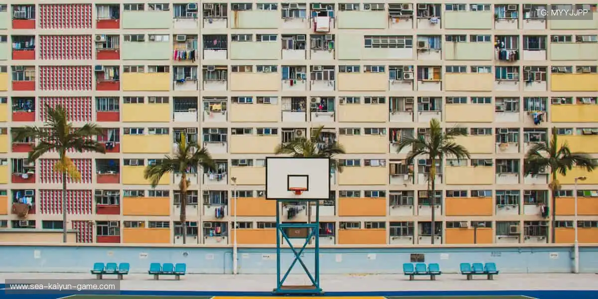 潮流运动风,你值得拥有!👟